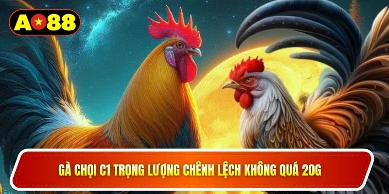 Gà chọi C1 trọng lượng chênh lệch không quá 20g