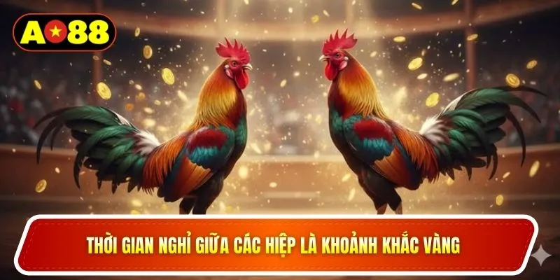Thời gian nghỉ giữa các hiệp là khoảnh khắc vàng